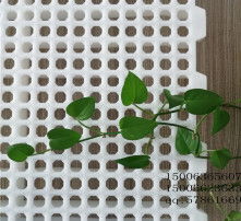 高清圖片下的塑料地板 優(yōu)勢、選擇與應(yīng)用